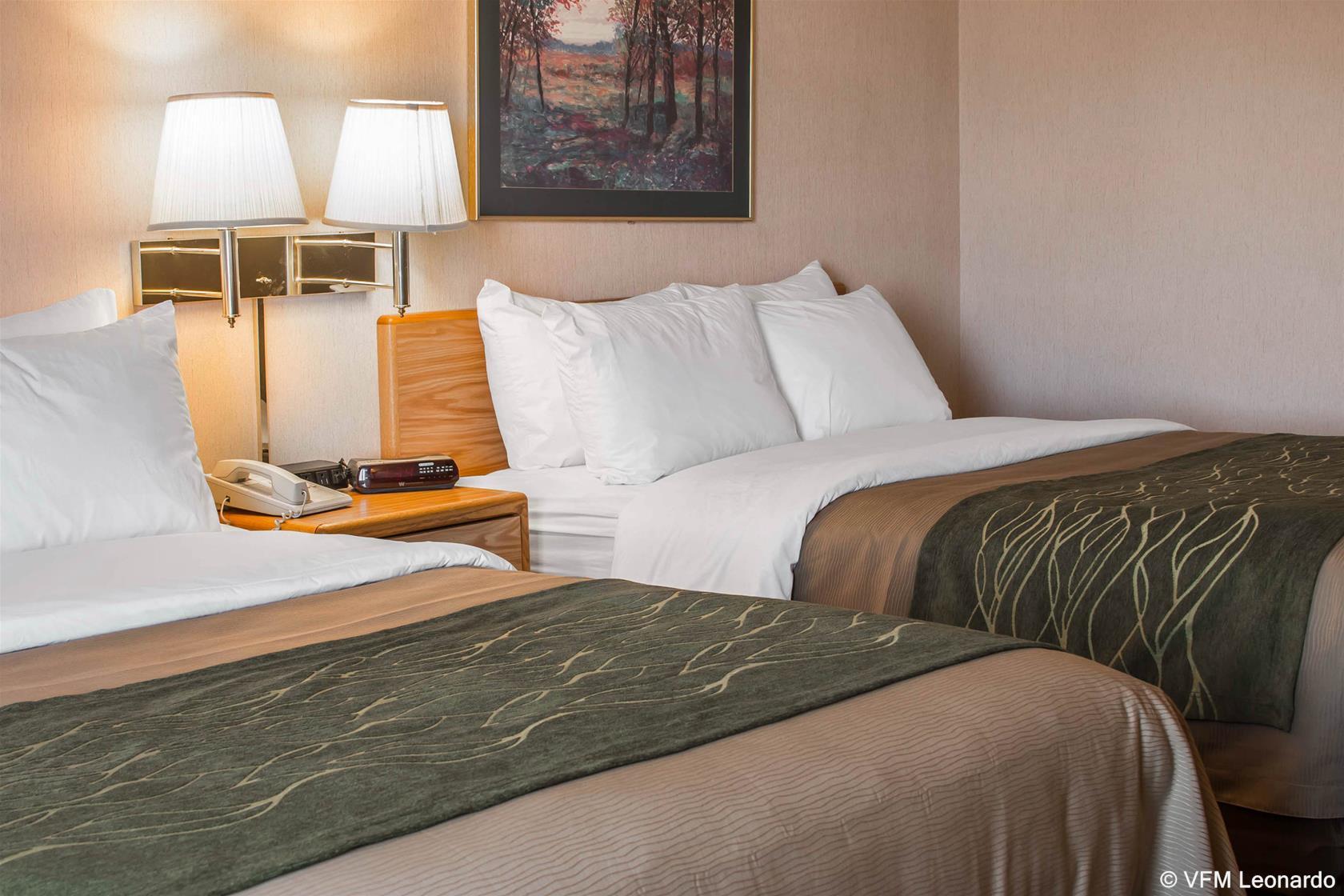 Comfort Inn Charlotte Bagian luar foto