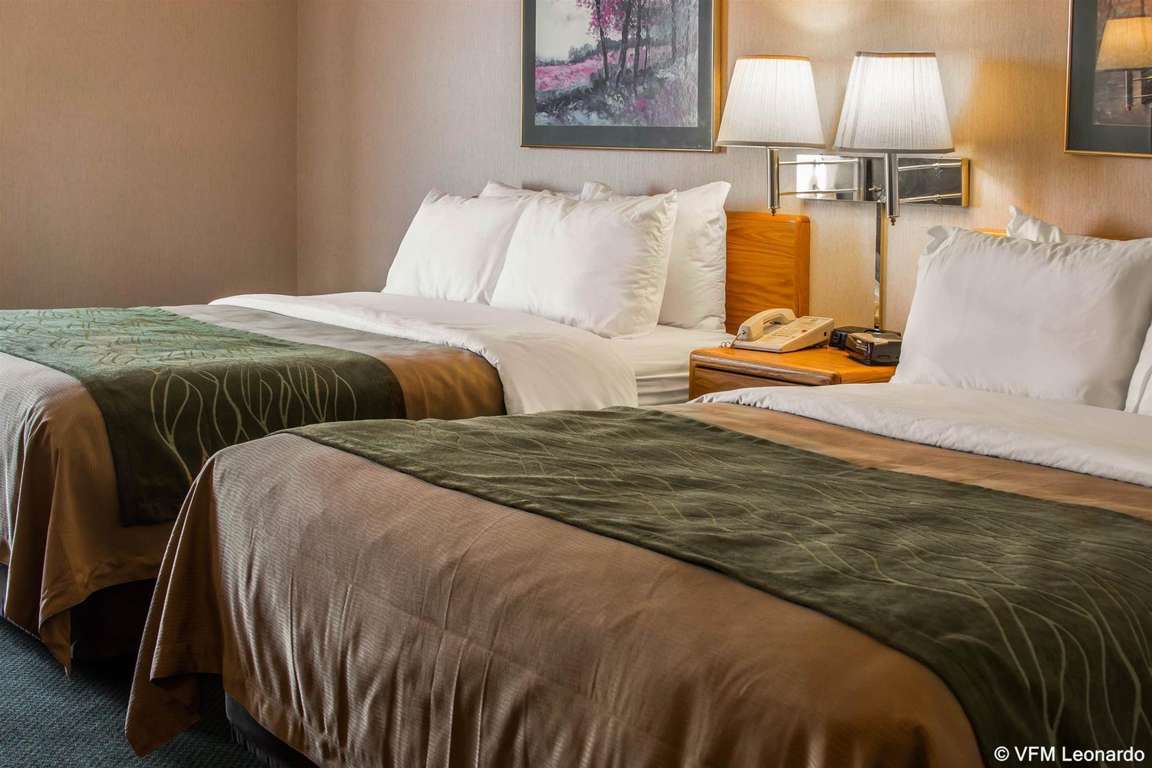 Comfort Inn Charlotte Bagian luar foto
