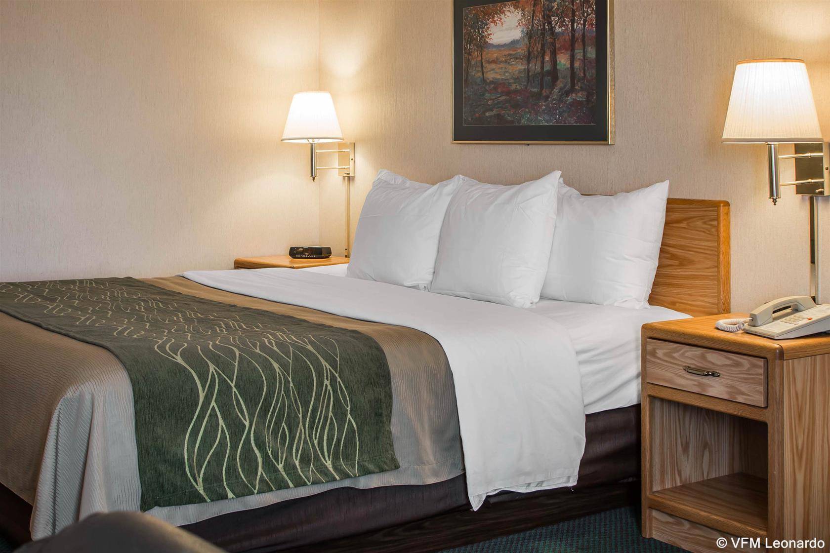 Comfort Inn Charlotte Bagian luar foto